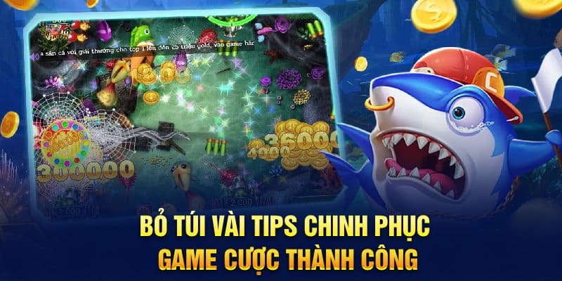 Kinh nghiệm săn cá cực hiệu quả đã được kiểm chứng