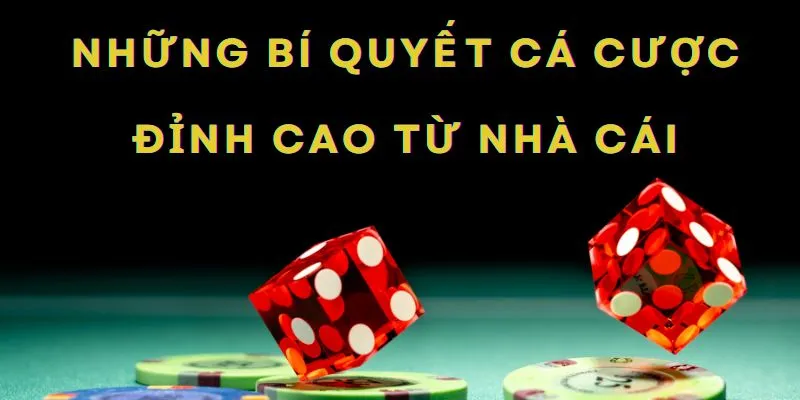 Điểm danh những bí quyết chơi casino online được nhà cái chia sẻ